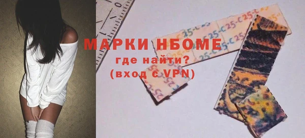 сатива Ельня