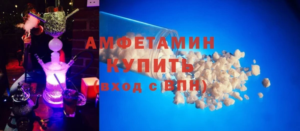 сатива Ельня