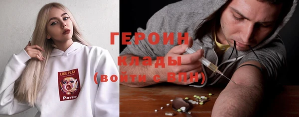 сатива Ельня
