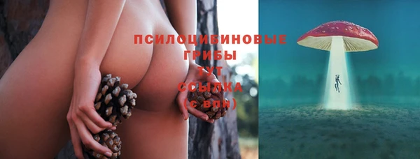 сатива Ельня