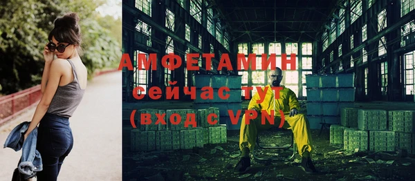 сатива Ельня