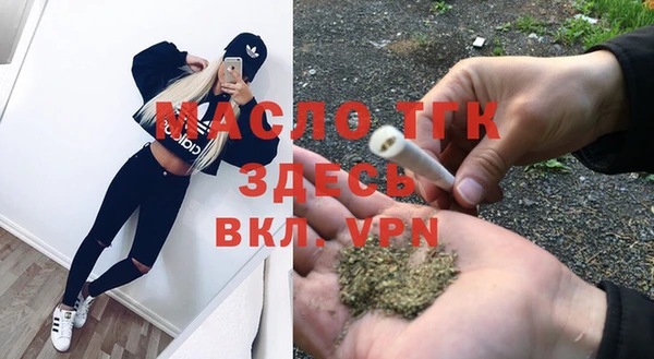 сатива Ельня