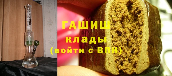 сатива Ельня