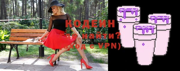 сатива Ельня