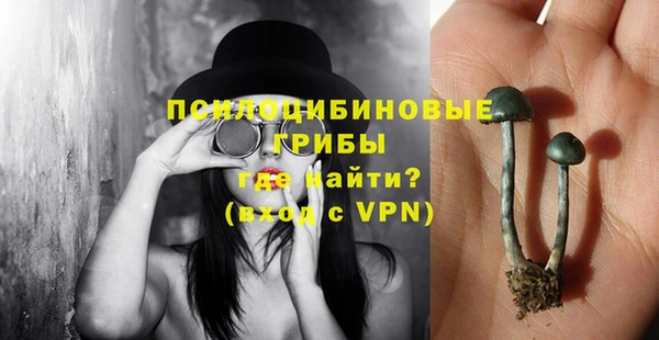 сатива Ельня