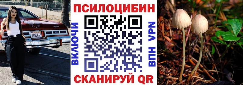 Купить  Каменск-Шахтинский  Псилоцибиновые грибы ЛСД 